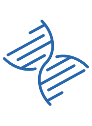DNA螺旋图
